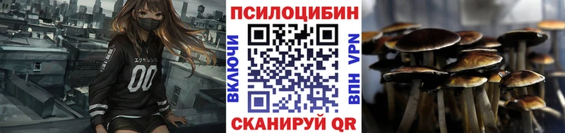 Галлюциногенные грибы Cubensis где купить наркоту гидра маркетплейс Щучье